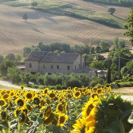 "La Casa Degli Ulivi Art B&B" Trecastelli ภายนอก รูปภาพ