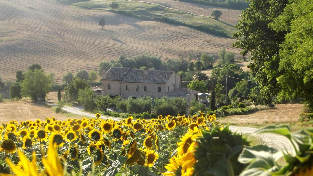 "La Casa Degli Ulivi Art B&B" Trecastelli ภายนอก รูปภาพ