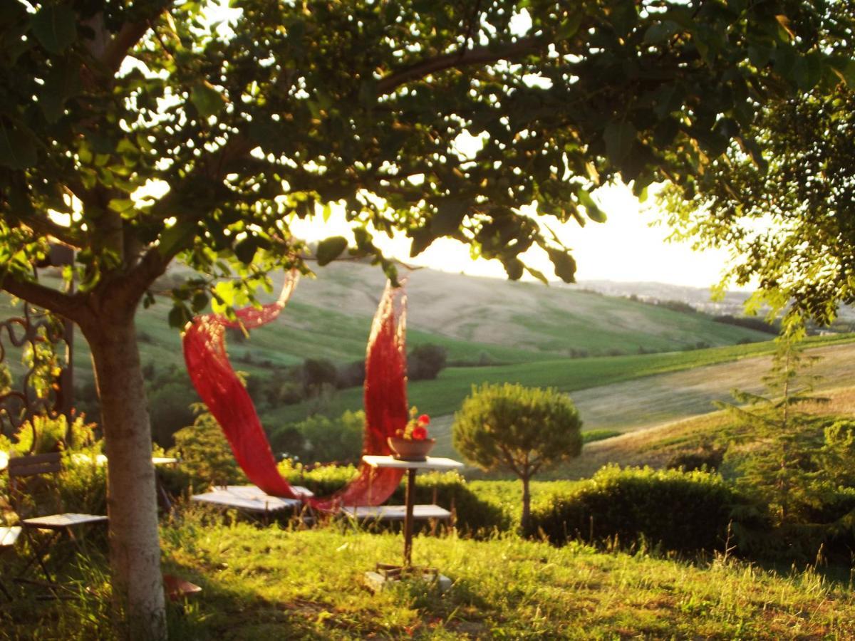 "La Casa Degli Ulivi Art B&B" Trecastelli ภายนอก รูปภาพ