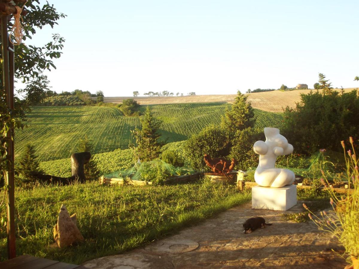 "La Casa Degli Ulivi Art B&B" Trecastelli ภายนอก รูปภาพ