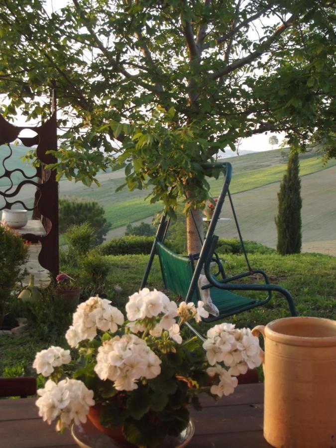 "La Casa Degli Ulivi Art B&B" Trecastelli ภายนอก รูปภาพ
