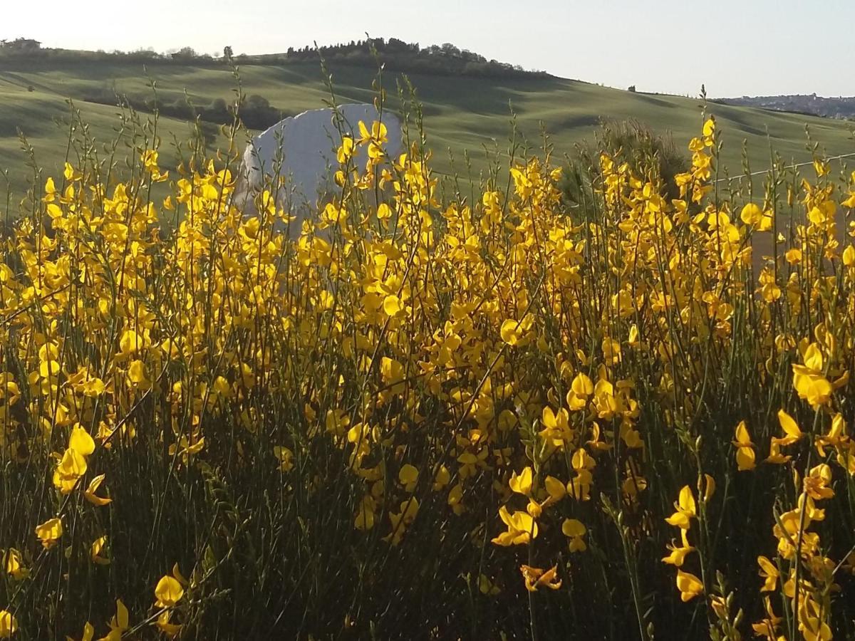 "La Casa Degli Ulivi Art B&B" Trecastelli ภายนอก รูปภาพ