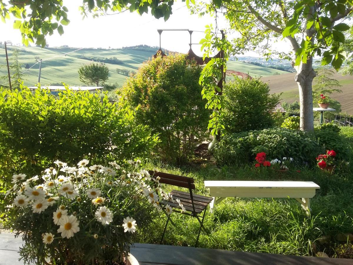 "La Casa Degli Ulivi Art B&B" Trecastelli ภายนอก รูปภาพ