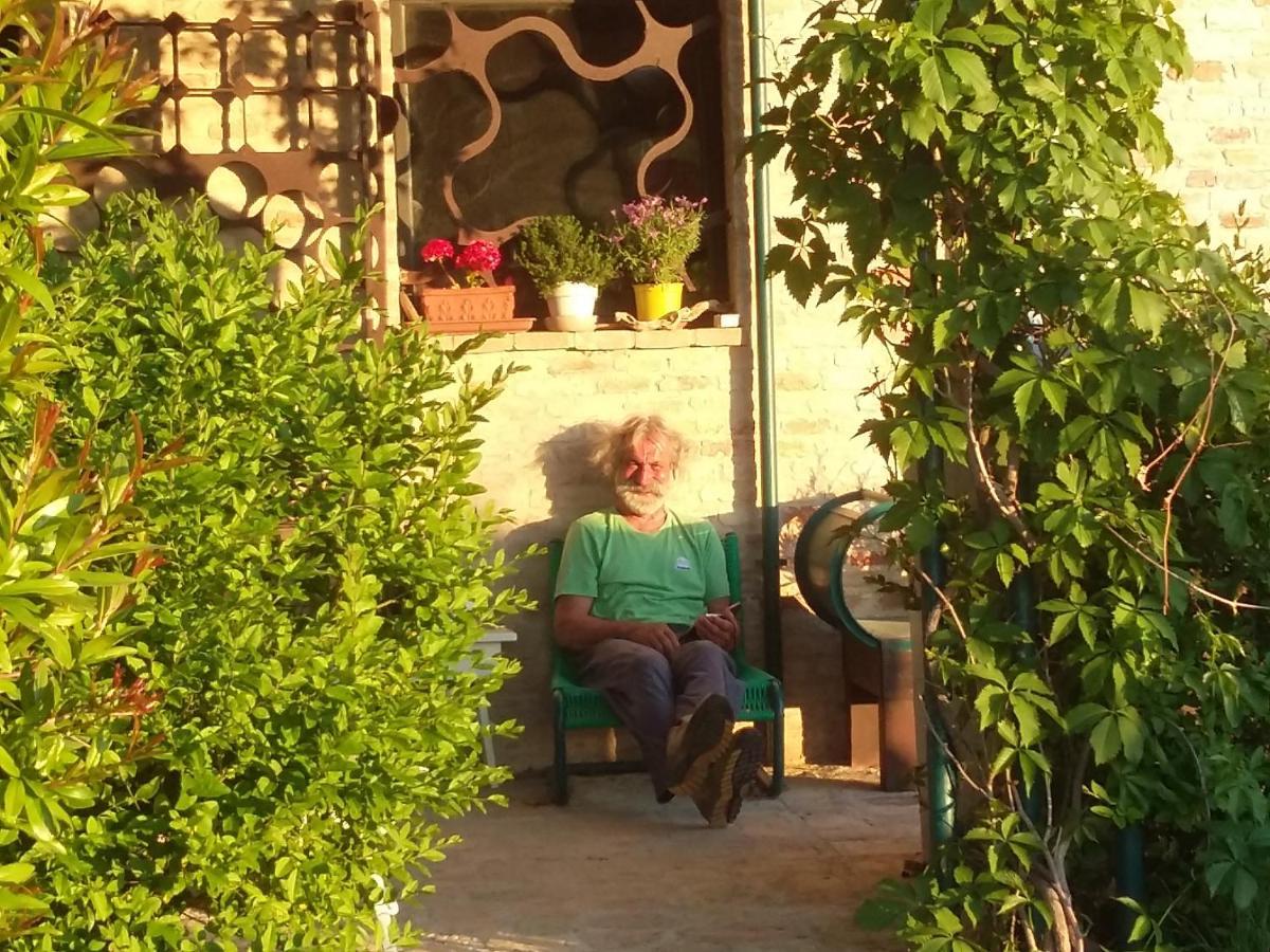 "La Casa Degli Ulivi Art B&B" Trecastelli ภายนอก รูปภาพ
