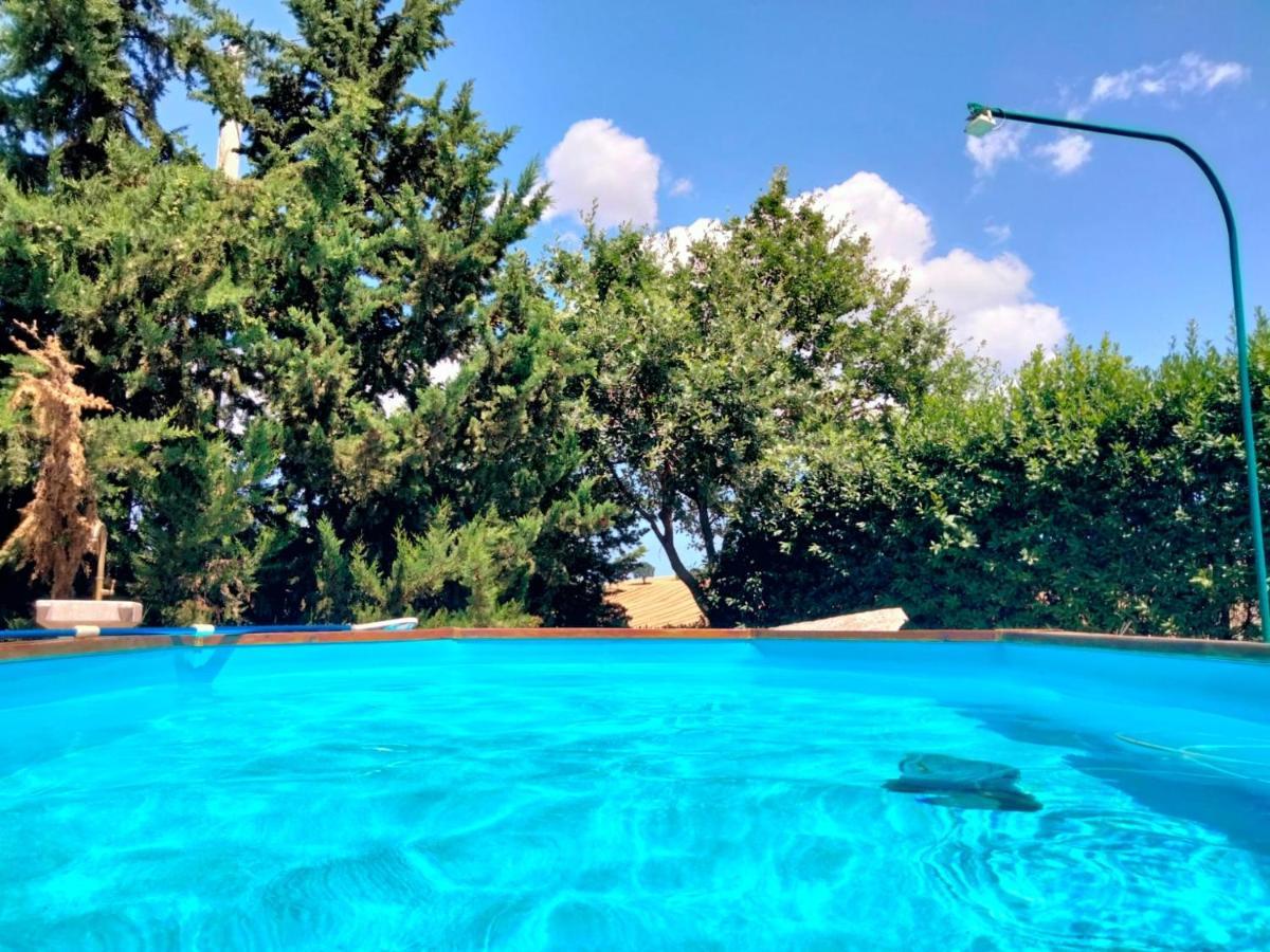 "La Casa Degli Ulivi Art B&B" Trecastelli ภายนอก รูปภาพ